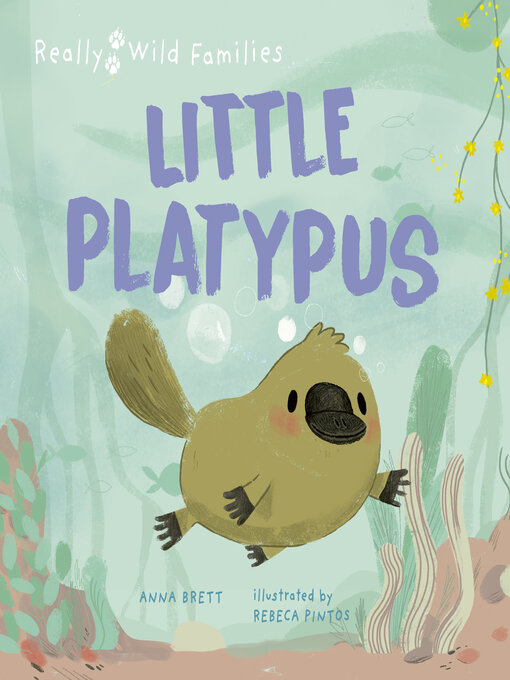 Title details for Little Platypus by Rebeca Pintos - Wait list